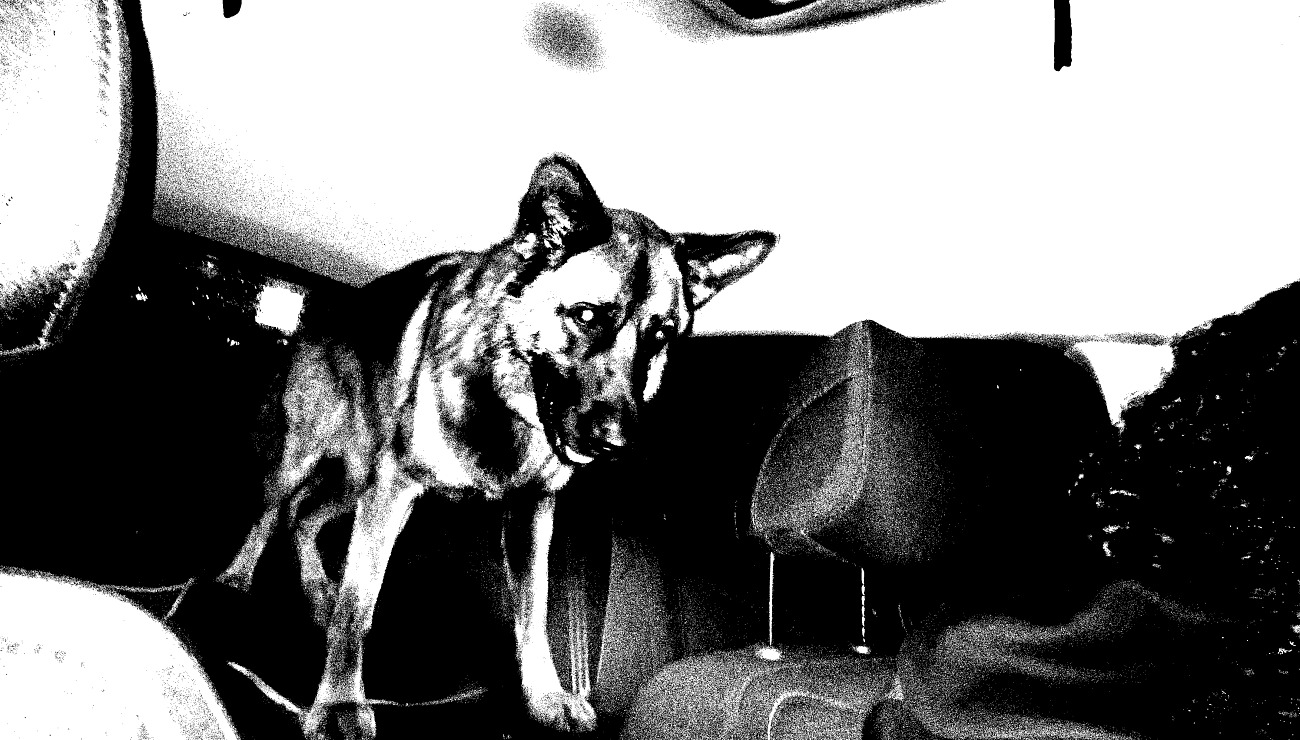 Îlot, Projets Piktura