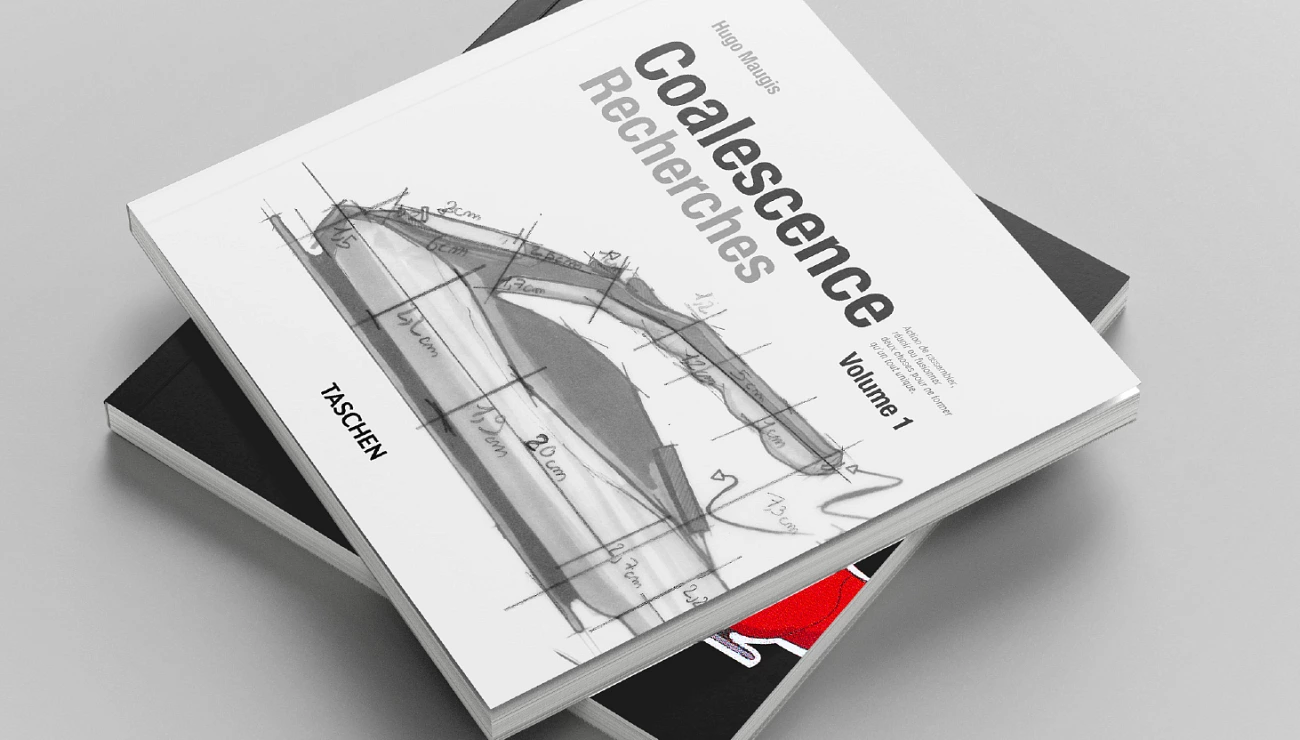 Coalescence, Projets Piktura