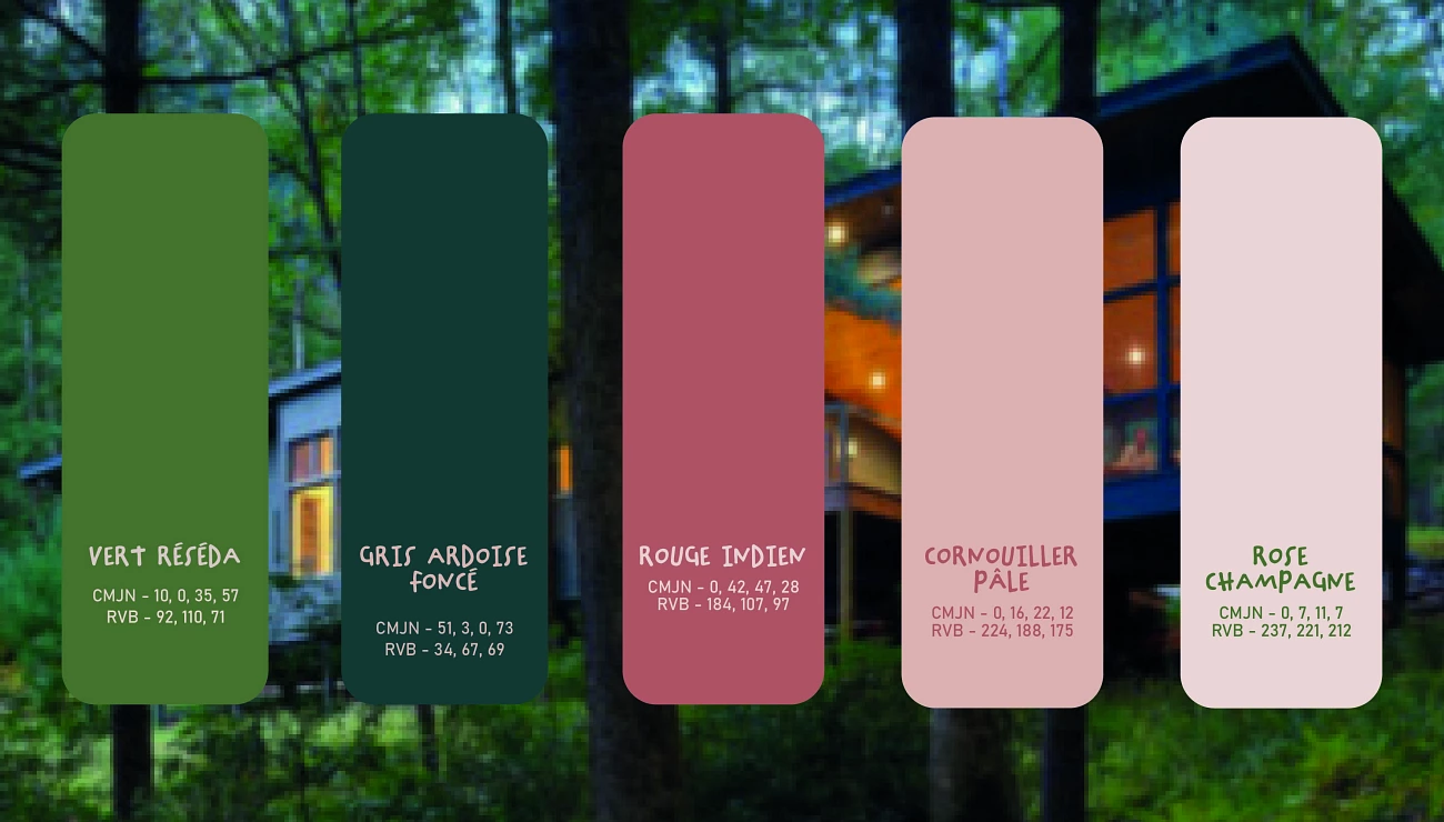 The book clearing, Projets Piktura