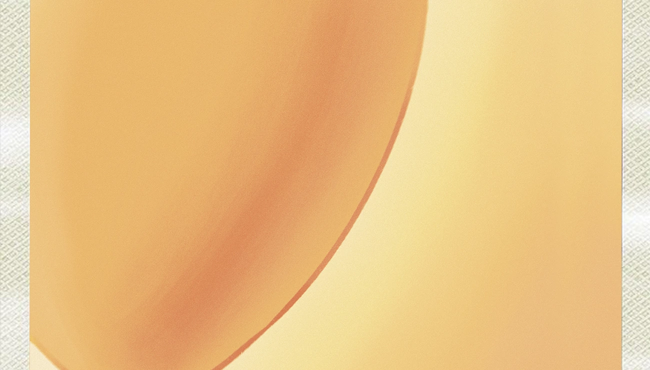 Un instant polaroïd, Projets Piktura