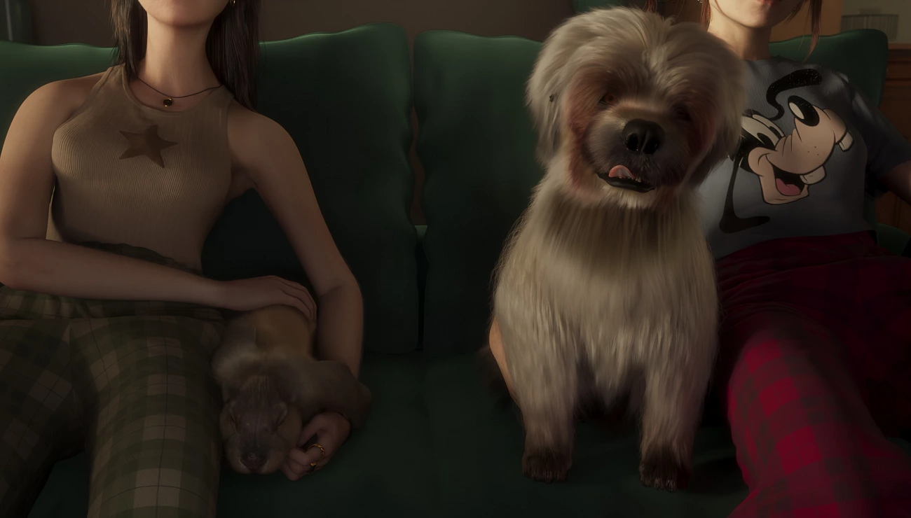 Choupi & Zinou, Projets Piktura