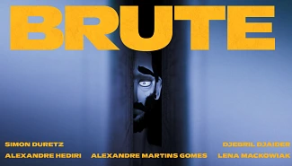 BRUTE, Projets Piktura