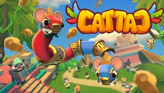 CATTAC, Projets Piktura