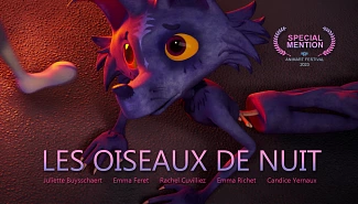 Les oiseaux de nuit, Projets Piktura