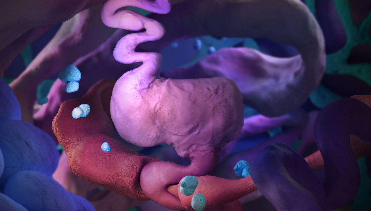 Digestion, Projets Piktura