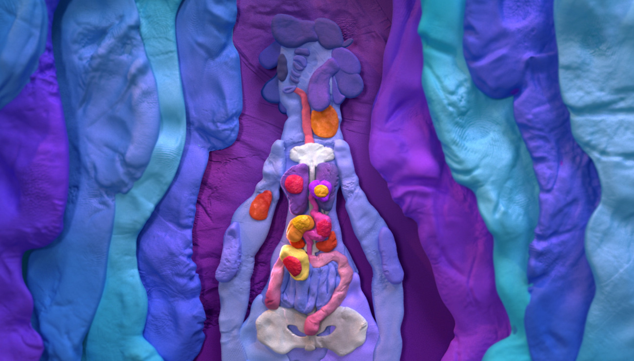 Digestion, Projets Piktura