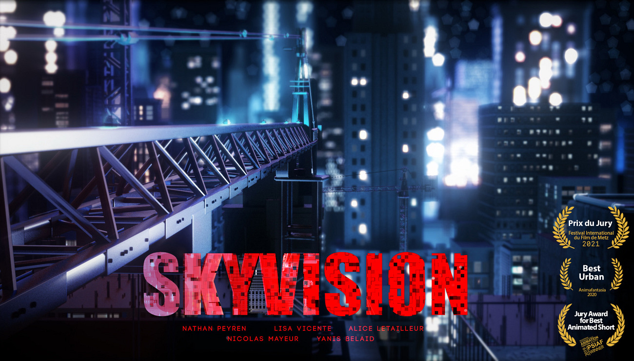 Skyvision, Projets Piktura