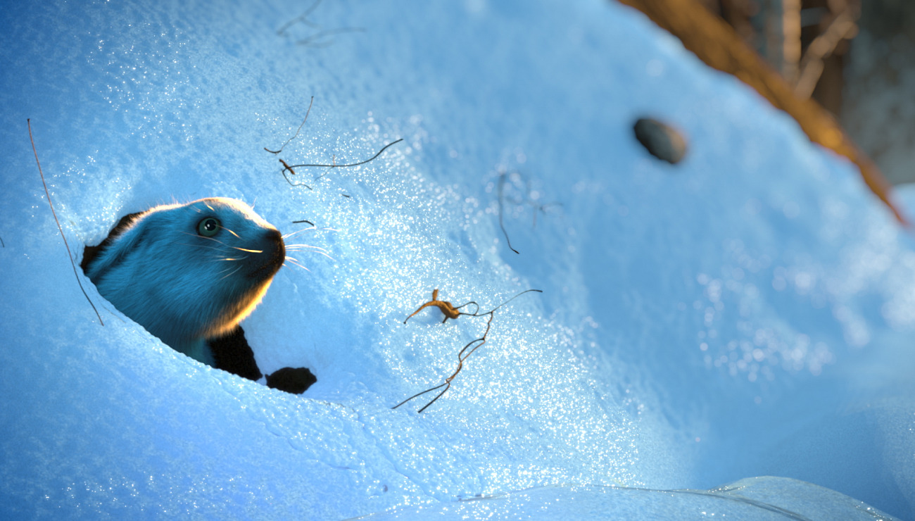 Sauvage, Projets Piktura