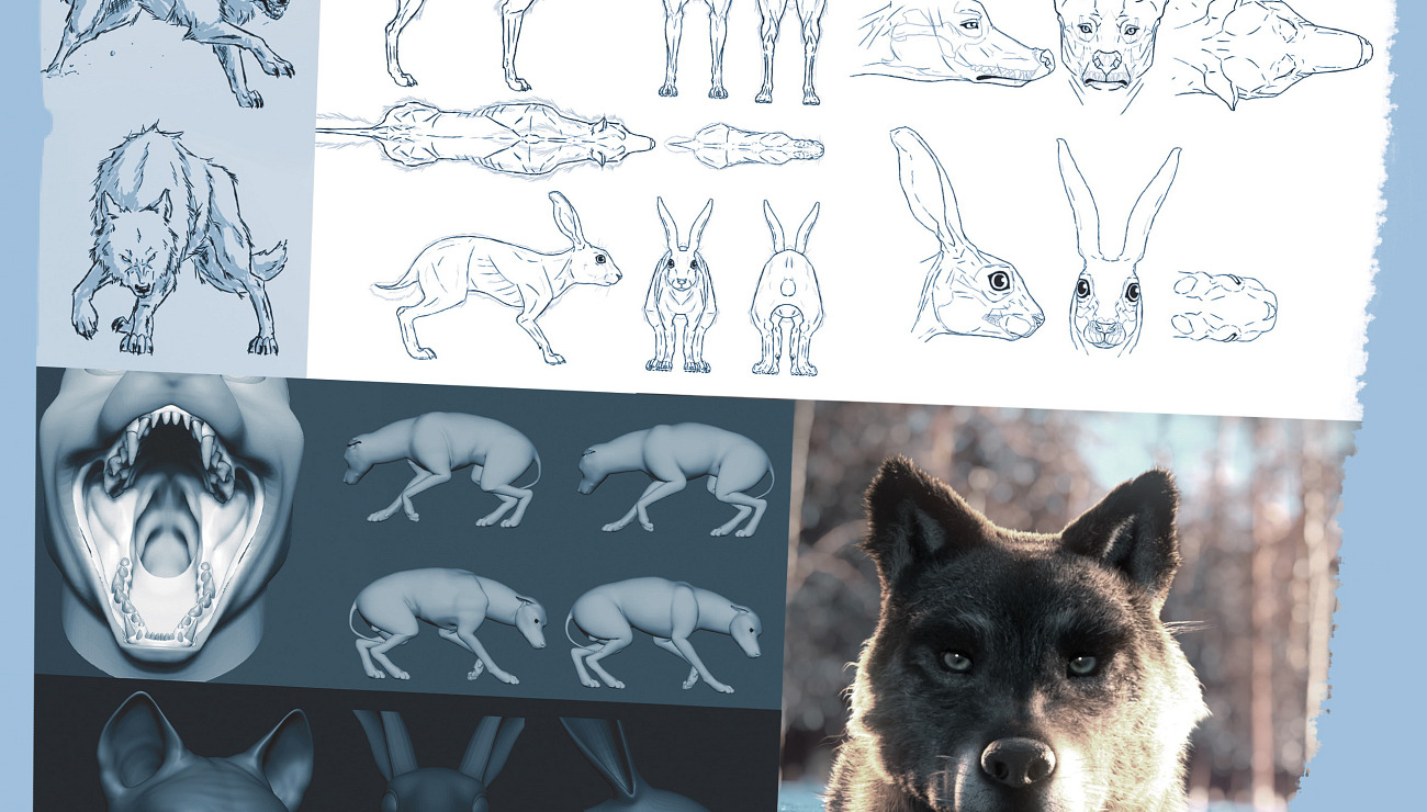 Sauvage, Projets Piktura