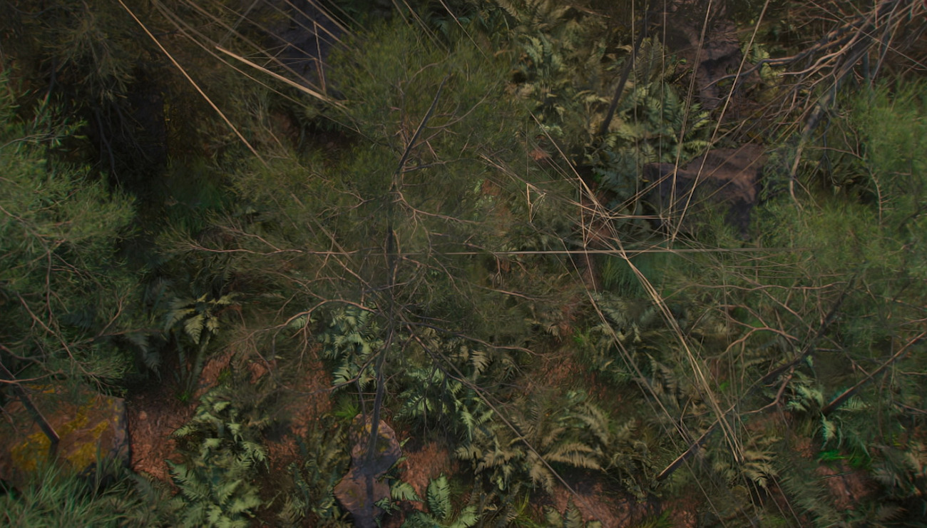 Huma, Projets Piktura