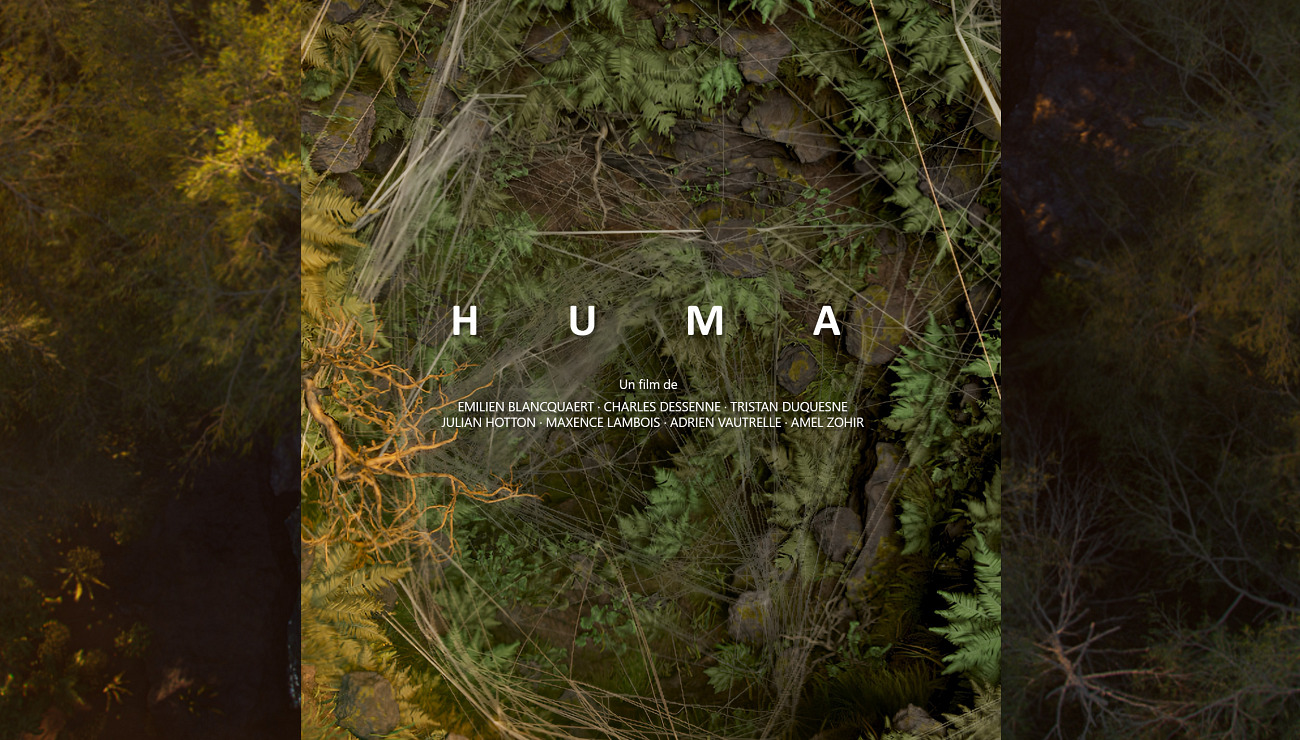 Huma, Projets Piktura