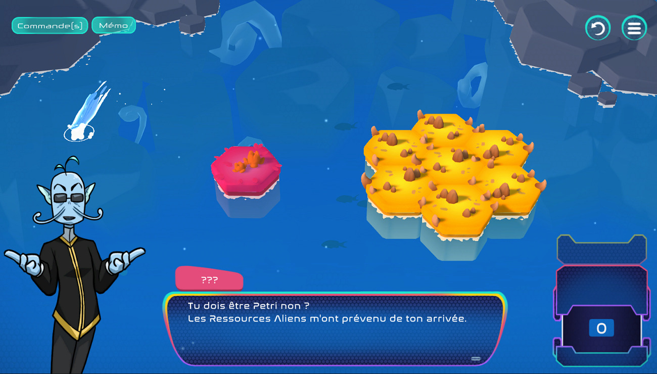 Flowrest, Projets Piktura