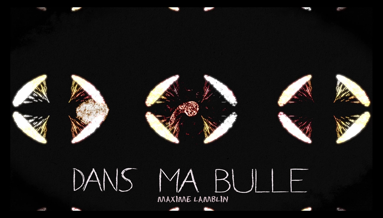 Dans ma bulle, Projets Piktura