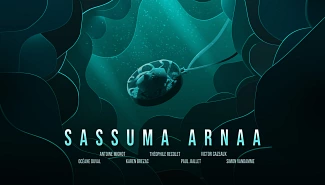 Sassuma Arnaa, Projets Piktura